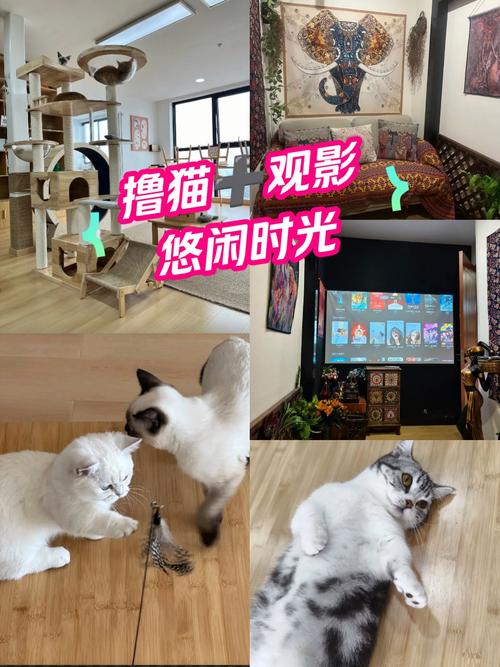 根据4480新视电电影院生成的SEO标题（含3个长尾关键词）：

**4480新视电电影院_高清在线观影_最新电影免费观看_无广告畅享大片**