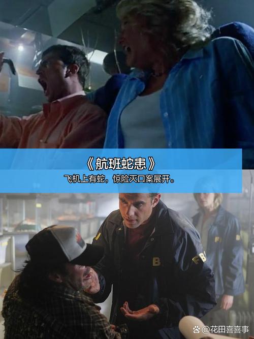 小草在线观看影院 - 免费高清电影在线看、最新热播剧全集播放、无广告追剧平台