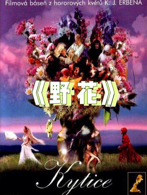 香港影院最新排片 | 2025热门电影推荐、IMAX影厅体验及优惠购票攻略