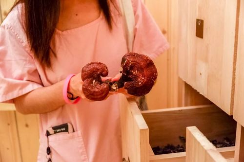 狼客影院在线观看 - 最新高清电影免费追剧推荐，热门影视资源抢先看
