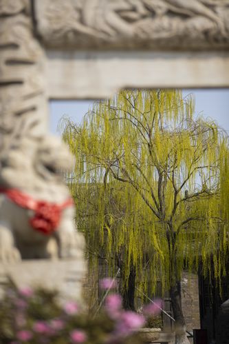 久播网久播影院最新热播电影在线观看 - 高清免费无广告追剧平台