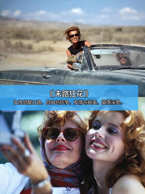 私人艺术影院观影指南 | 小众片单推荐 | 独立电影放映