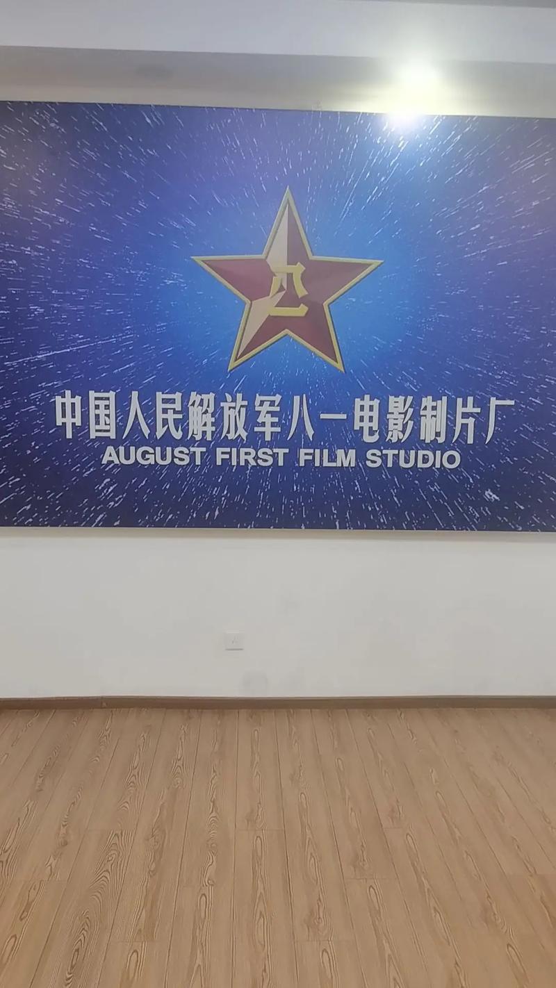 大雷美女黄动漫的相关介绍