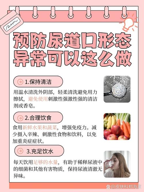 高清无卡的码不天的相关介绍