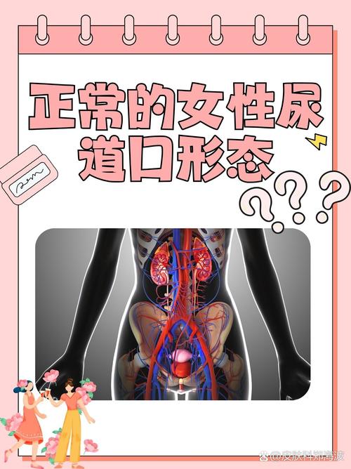 根据您的要求，生成一个符合SEO规范的标题如下：

**欧美老熟妇高清珍藏：成熟韵味与经典影像的视觉盛宴**  
（长尾关键词：欧美老熟妇、高清珍藏、成熟韵味）