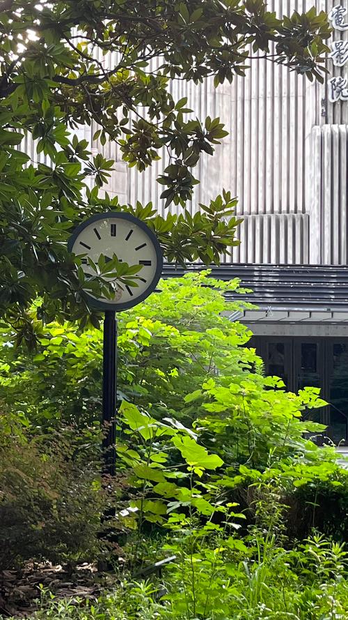 衡山电影院 | 上海衡山路老牌影院观影攻略 | 衡山电影院排片查询 | 衡山电影院周边打卡推荐